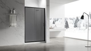 Душевая дверь Veconi Vianno VN-55BT, 1100x1950, Черный, стекло тонированное